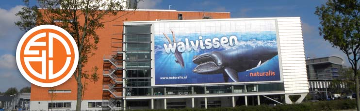 Naturalis Walvissen gevel